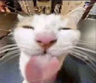 Sticker єбучий подкаліберний насвай - 9