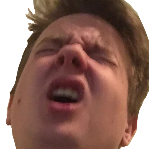 human face cheek jaw