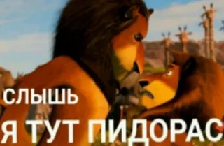 Стикер ShlyapikNation - 2