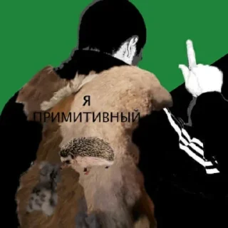 Стикер ShlyapikNation - 1