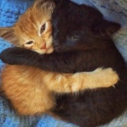 Стикер йен и микки - 3