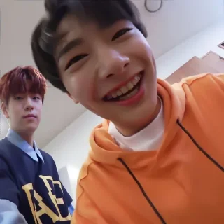 Sticker ✦ ָ ֙⋆ jeongin by @paradoxstickers - 8