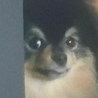 Стикер папей чакры @jeon_minaa - 3