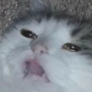 Стикер папей чакры @jeon_minaa - 6