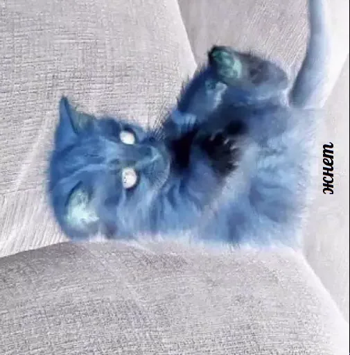 Sticker жесть - 7