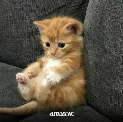 Sticker жесть - 6