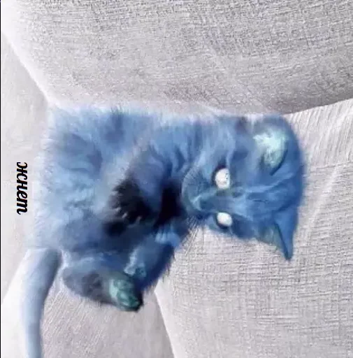 Sticker жесть - 0