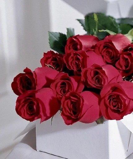 Sticker ♡розы♡ :: @fStikBot - 4