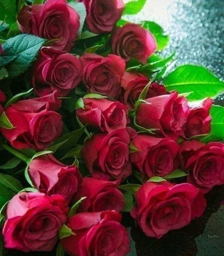 Sticker ♡розы♡ :: @fStikBot - 0