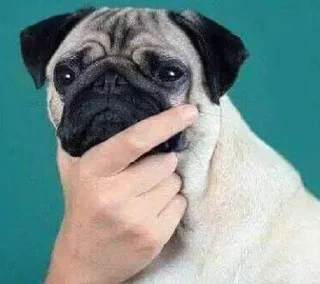 Sticker random @anime_stickerr - 7