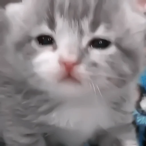 Sticker 🧴 - 𝐣𝐢𝐤𝐨𝐨𝐤`. | @pecjuwr - 9