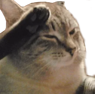 Sticker jimolost_default - 10