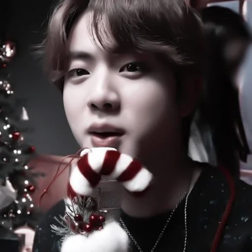 Sticker 𝗝𝗜𝗡 :; by @joyswt0 - 3