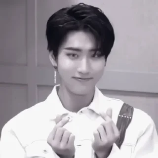 Sticker ⲇⲯυⲥⲟⲏ :; @skzstick - 10