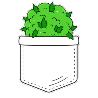 Sticker Şiocălău - 9