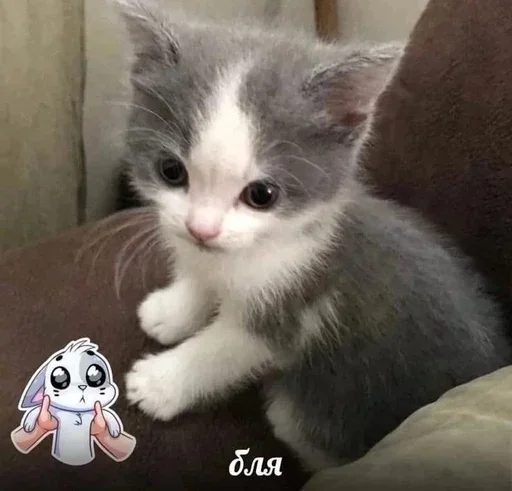 Больше стикеров 👉🏻 @stickertg4 - 