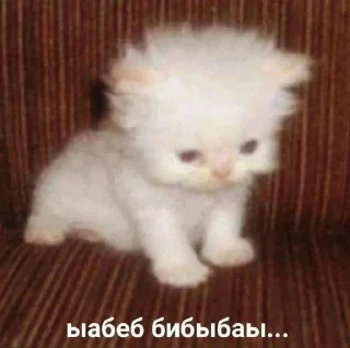 Sticker Больше стикеров 👉🏻 @stickertg4 - 5