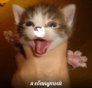 Sticker Больше стикеров 👉🏻 @stickertg4 - 6