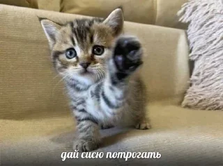 Sticker Больше стикеров 👉🏻 @stickertg4 - 4