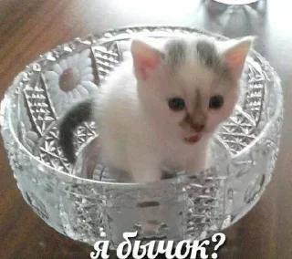 Sticker Больше стикеров 👉🏻 @stickertg4 - 7