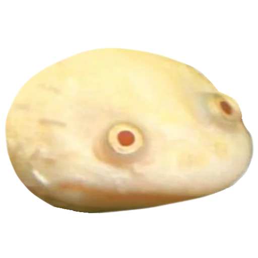 животное беспозвоночный