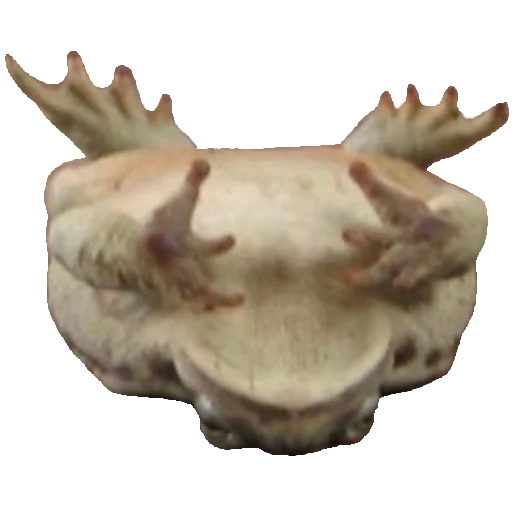 беспозвоночный животное