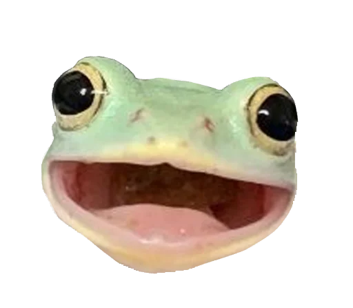 животное лягушка амфибия