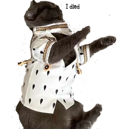 Sticker jojocats - 11