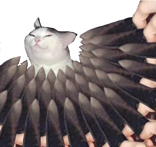 Sticker jojocats - 8