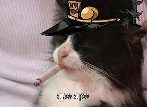 Sticker jojocats - 6