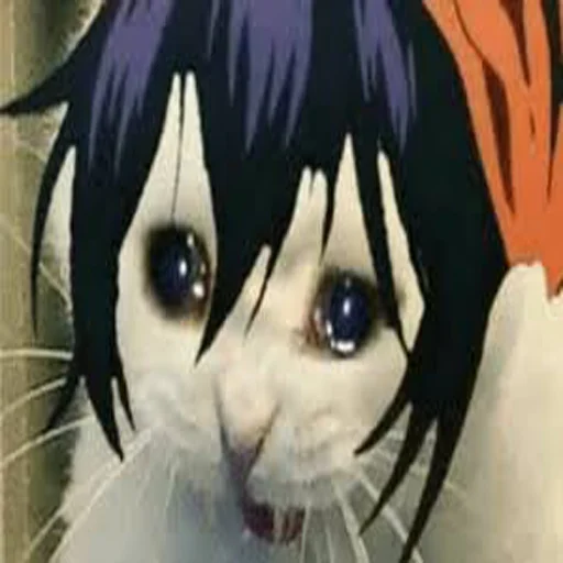 Sticker jojocats - 2