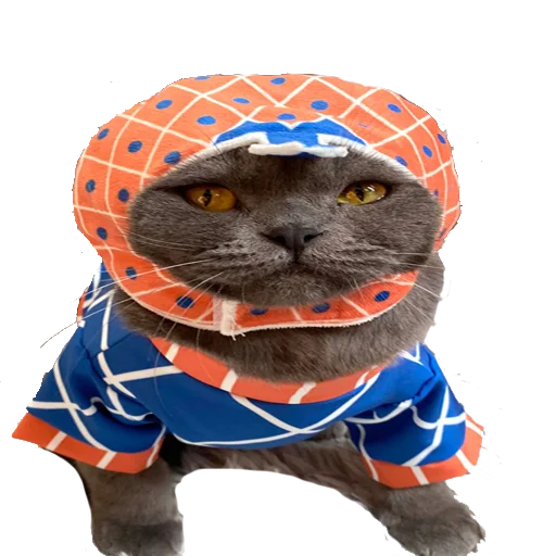 Sticker jojocats - 0