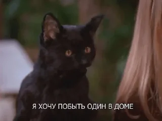 Sticker побойся бога блять - 2