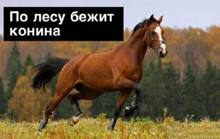 Sticker побойся бога блять - 4