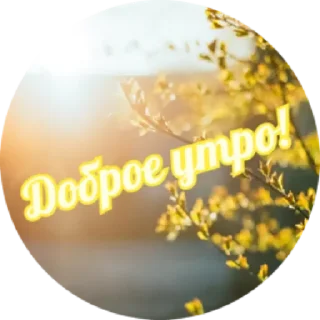 Sticker Доброе утро by @stqrapp - 0