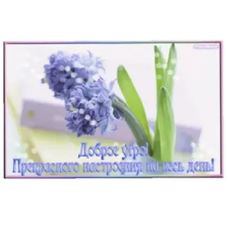 Sticker Доброе утро by @stqrapp - 8