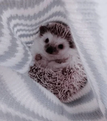 животное млекопитающее