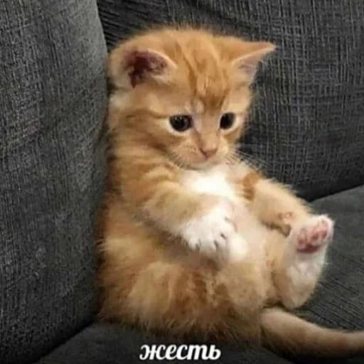 Sticker johnborg - 1