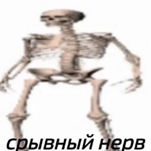 sketch joint skeleton