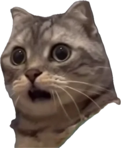 Стикер jojapack - 1