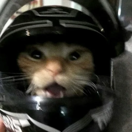 Стикер jojapack - 1