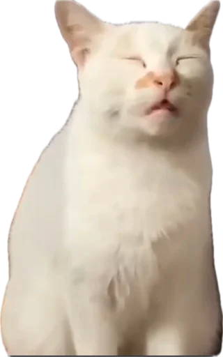 Sticker jojapack - 1