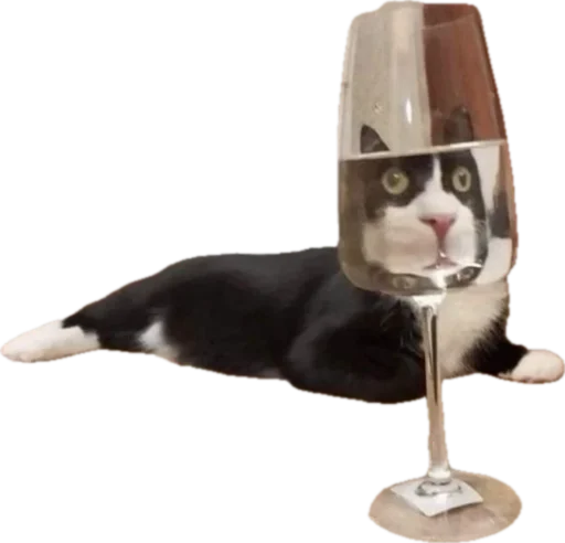 Стикер jojapack - 1