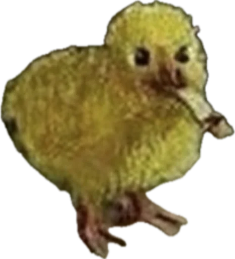 Sticker jojapack - 1