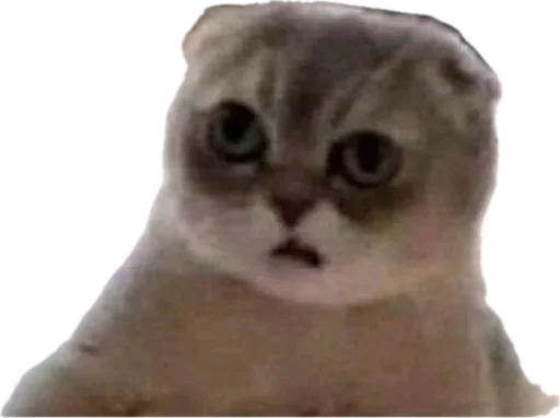 Стикер jojapack - 1