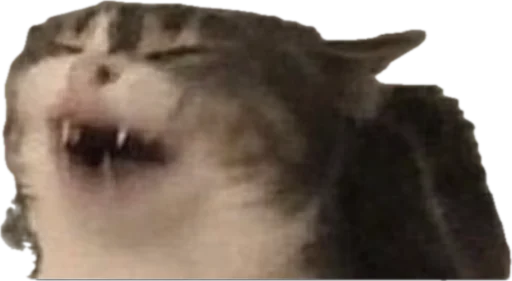 Стикер jojapack - 1