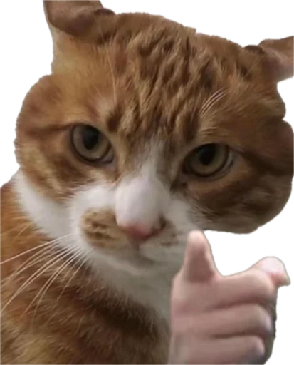 Стикер jojapack - 1