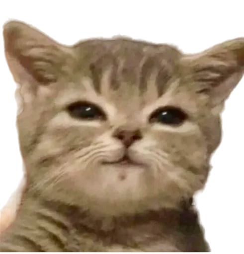 Стикер jojapack - 1