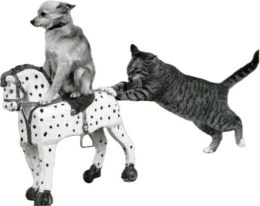 Стикер jojapack - 1