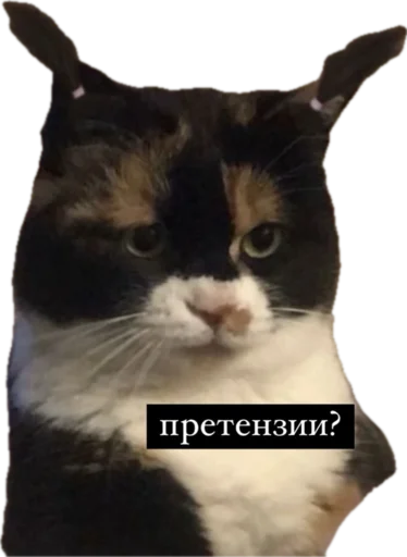 Стикер jojapack - 1